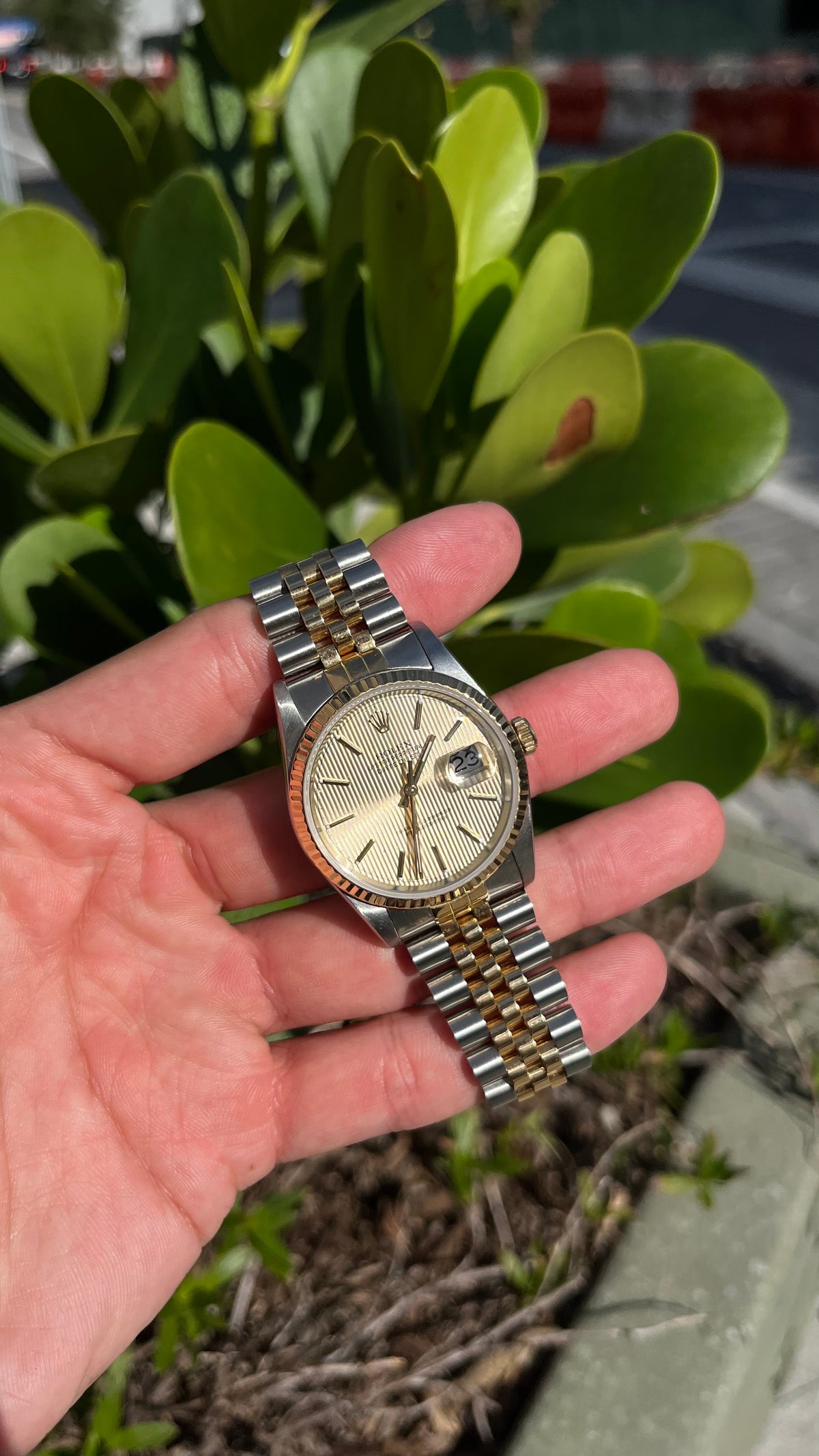 Rolex Datejust 36MM Tapestry Dial 1988 Full Set
