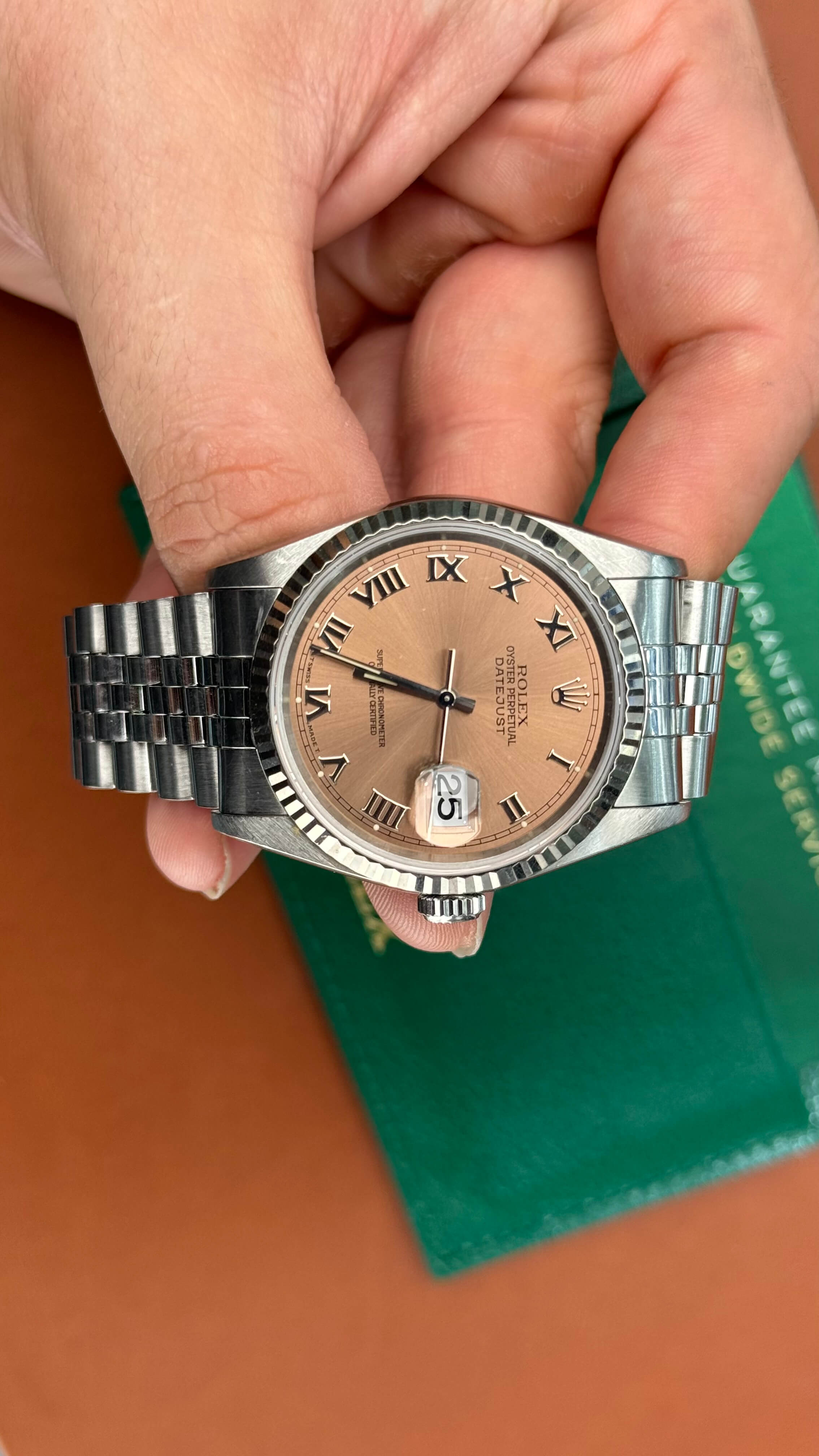 Rolex Datejust 36MM Coral Roman Dial